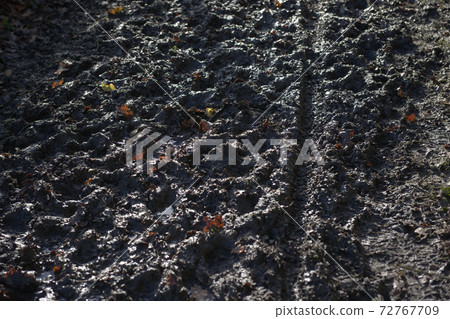1 - Thick mud, autumn leaves and a bicycle tyre tread mark with tracks 1 - Thick mud, autumn leaves and a bicycle tyre tread mark with tracks 72767709