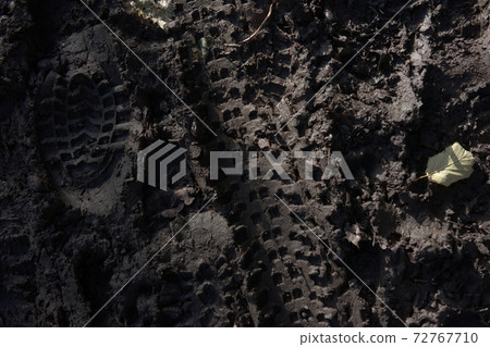 6 - Looking down onto footprints and tyre tracks in thick winter mud 72767710