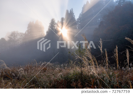 晨霧光束 72767759