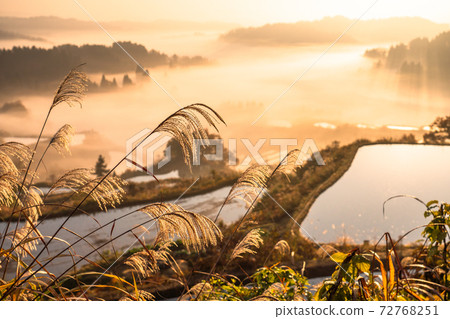《新潟縣》田田星壽/秋天的景色 72768251
