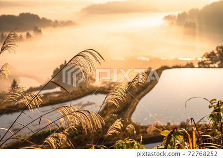 《新潟縣》田田星壽/秋天的景色 72768252