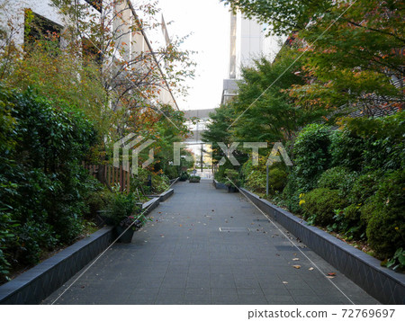 深川加扎里亞清晨 72769697