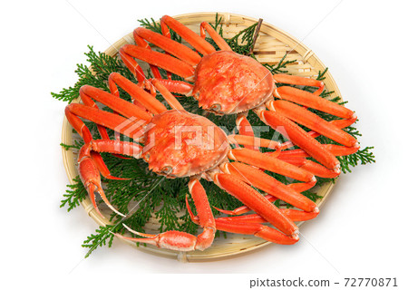 Snow crab 72770871