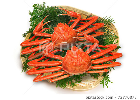 Snow crab 72770875