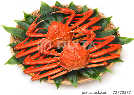 Boiled snow crab 72770877