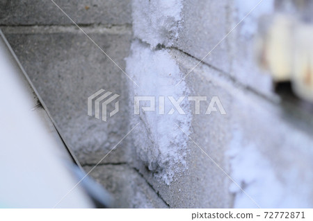 看起來像冰的白色黴菌 72772871