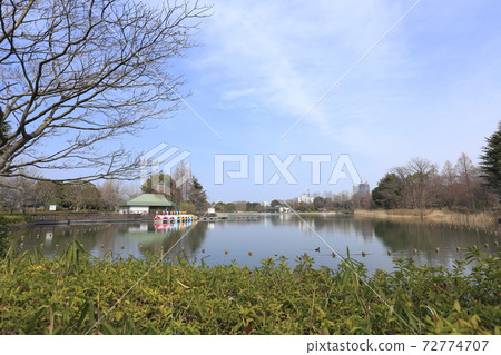 千葉縣千葉公園(柏之函館)千葉縣 千葉縣千葉公園(柏之函館)千葉縣 72774707