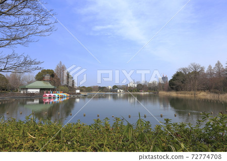 千葉縣千葉公園(柏之函館)千葉縣 千葉縣千葉公園(柏之函館)千葉縣 72774708