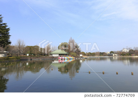 千葉縣千葉公園(柏之函館)千葉縣 千葉縣千葉公園(柏之函館)千葉縣 72774709