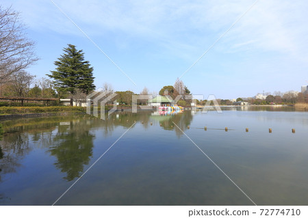千葉縣千葉公園(柏之函館)千葉縣 千葉縣千葉公園(柏之函館)千葉縣 72774710