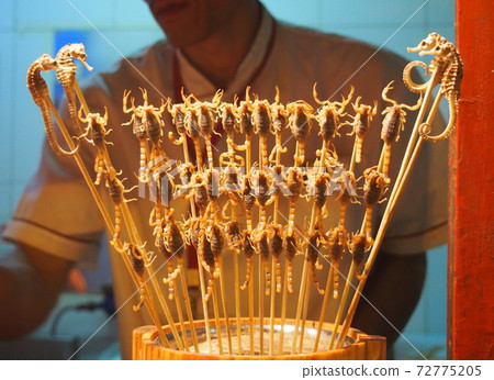 中國蝎子和辰敏 72775205