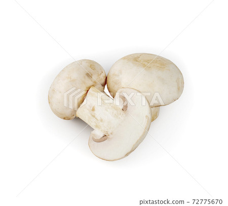 Fresh champignon mushrooms isolated on white background Fresh champignon mushrooms isolated on white background 72775670