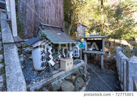[Kyoto] Kurama Temple 72775801