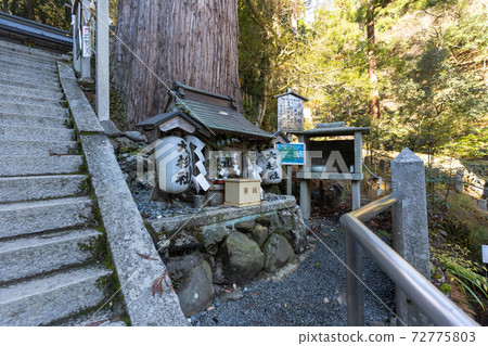 [Kyoto] Kurama Temple 72775803