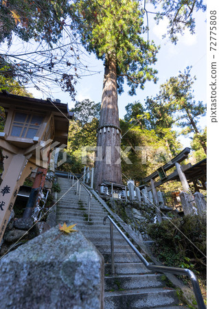 [Kyoto] Kurama Temple 72775808