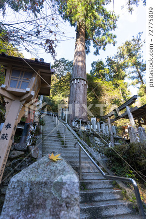 [Kyoto] Kurama Temple 72775809