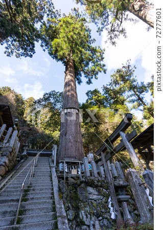[Kyoto] Kurama Temple 72777601