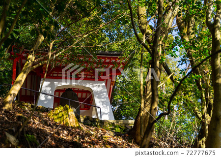 [Kyoto] Kurama Temple 72777675