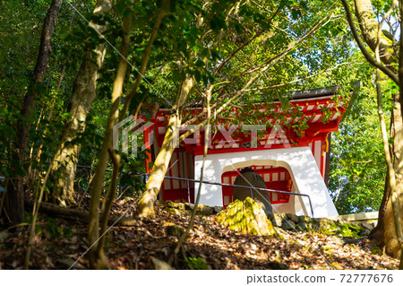 [Kyoto] Kurama Temple 72777676