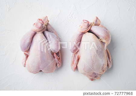 Raw small young chicken, on white background, top view Raw small young chicken, on white background, top view 72777968