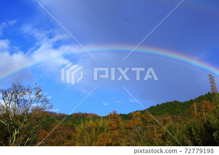 彩虹 彩虹 72779198