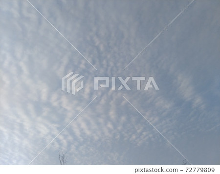Blue sky Blue sky 72779809