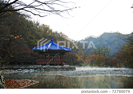Autumn trip, autumn scenery, national park Autumn trip, autumn scenery, national park 72780079