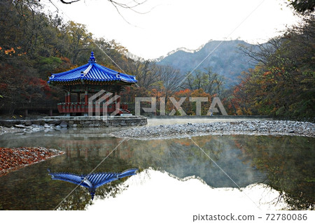 Autumn trip, autumn scenery, national park Autumn trip, autumn scenery, national park 72780086