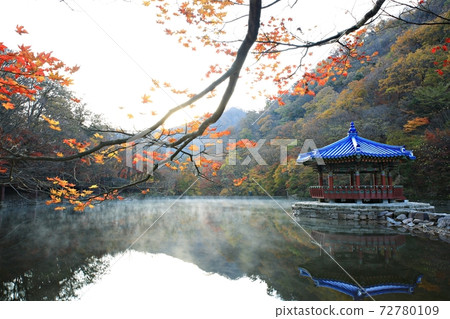 Autumn trip, autumn scenery, national park 72780109