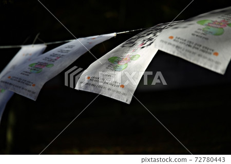 Beautiful autumn scenery, autumn maple leaves 72780443