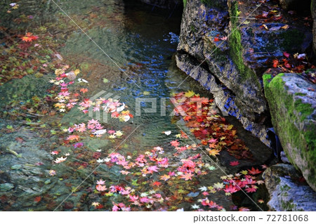 秋季旅行,秋天的景色,天使河 秋季旅行,秋天的景色,天使河 72781068