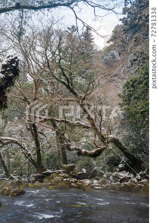 冬季菊池谷的冰雪景觀 72781338