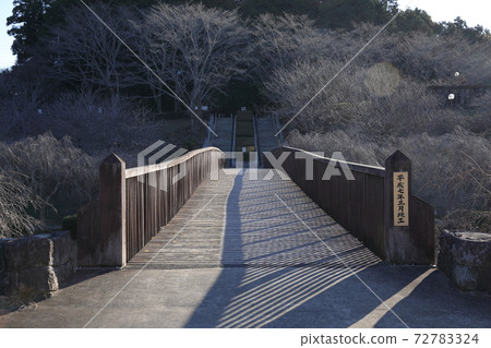 茨城縣日立風道之岡大橋 72783324