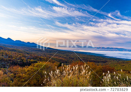 (Nagano Prefecture) Southern Alps and Yatsugatake Mountains seen from the Tateshina Venus Line (Nagano Prefecture) Southern Alps and Yatsugatake Mountains seen from the Tateshina Venus Line 72783829