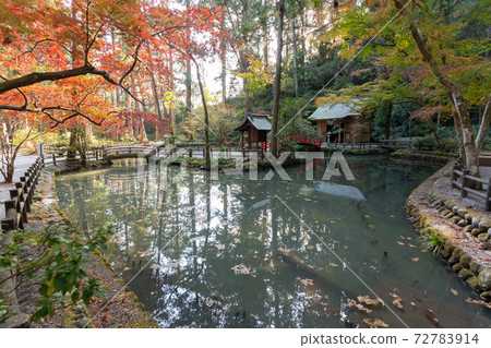 [靜岡縣]小國神社 72783914