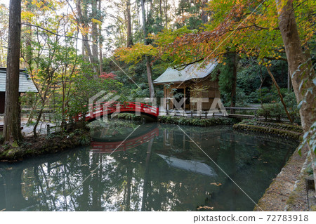 [靜岡縣]小國神社 72783918