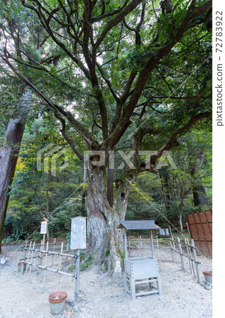 [靜岡縣]小國神社 72783922