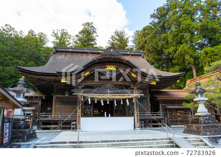 [Shizuoka Prefecture] Okuni Shrine 72783926