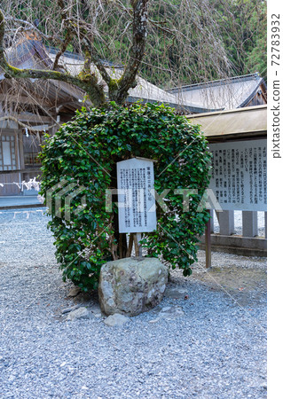 [靜岡縣]小國神社 72783932