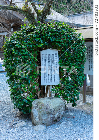 [靜岡縣]小國神社 72783933