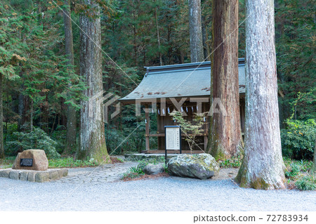 [Shizuoka Prefecture] Okuni Shrine 72783934