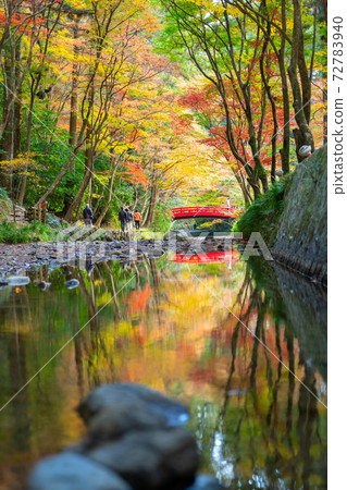 [靜岡縣]小國神社 72783940