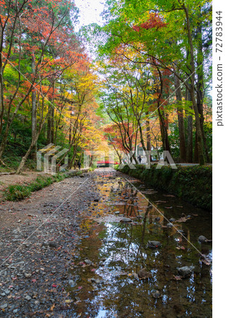[靜岡縣]小國神社 72783944