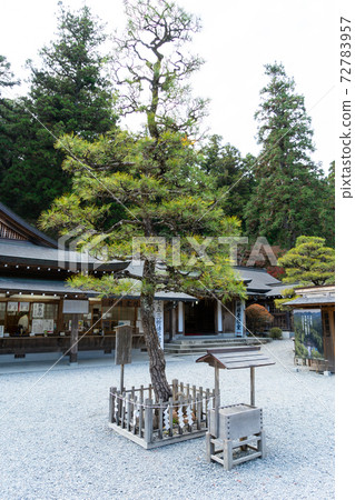 [Shizuoka Prefecture] Okuni Shrine 72783957