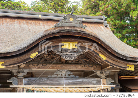 [Shizuoka Prefecture] Okuni Shrine 72783964