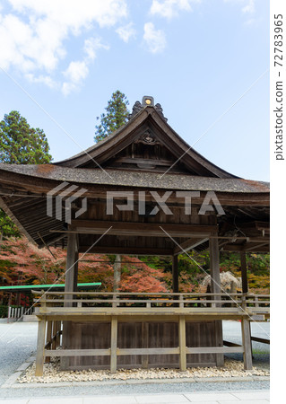 [Shizuoka Prefecture] Okuni Shrine 72783965