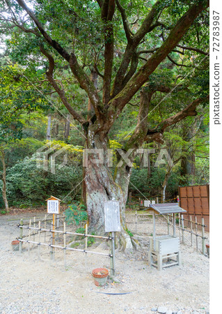 [靜岡縣]小國神社 72783987
