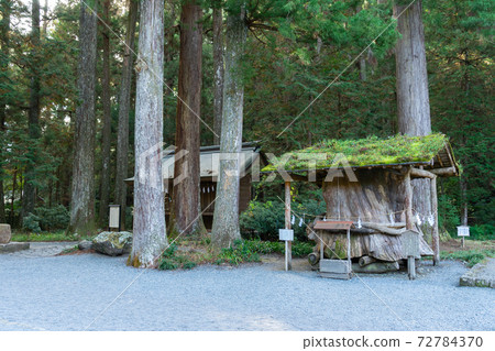 [Shizuoka Prefecture] Okuni Shrine 72784370