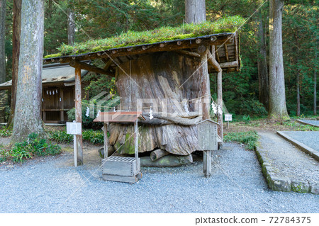 [靜岡縣]小國神社 72784375