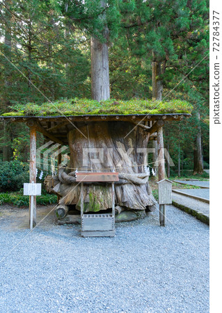 [靜岡縣]小國神社 72784377
